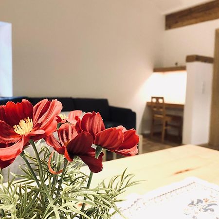 Steinergut Apartments ซังคท์มาร์ทิน เบ โลเฟอร์ ภายนอก รูปภาพ