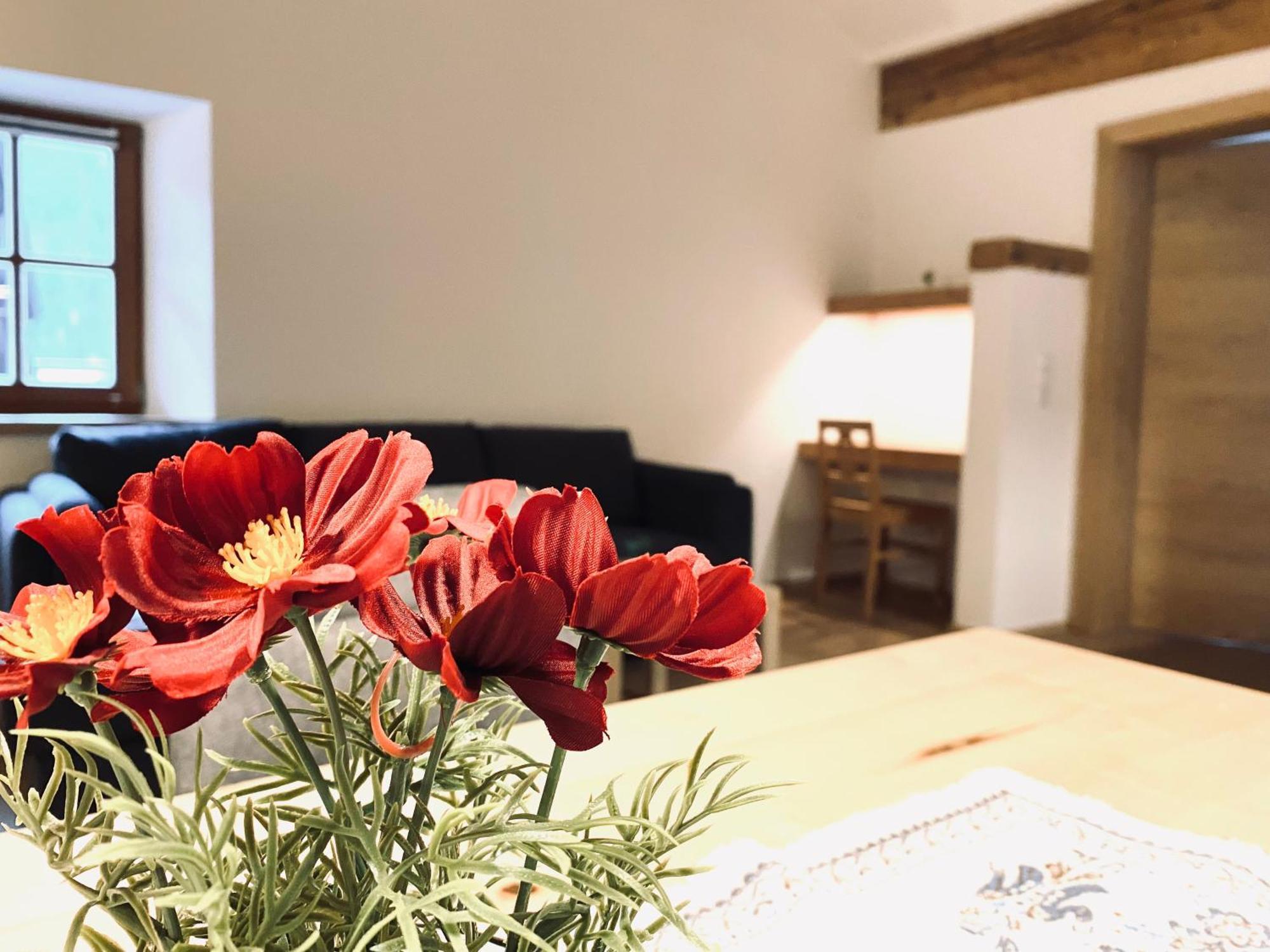 Steinergut Apartments ซังคท์มาร์ทิน เบ โลเฟอร์ ภายนอก รูปภาพ